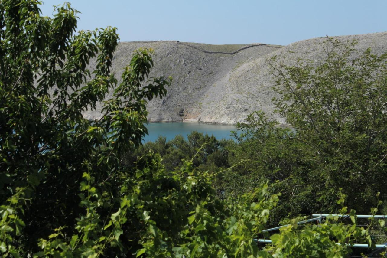 Family Friendly Seaside Apartments Vlasici, Pag - 4319 Eksteriør billede